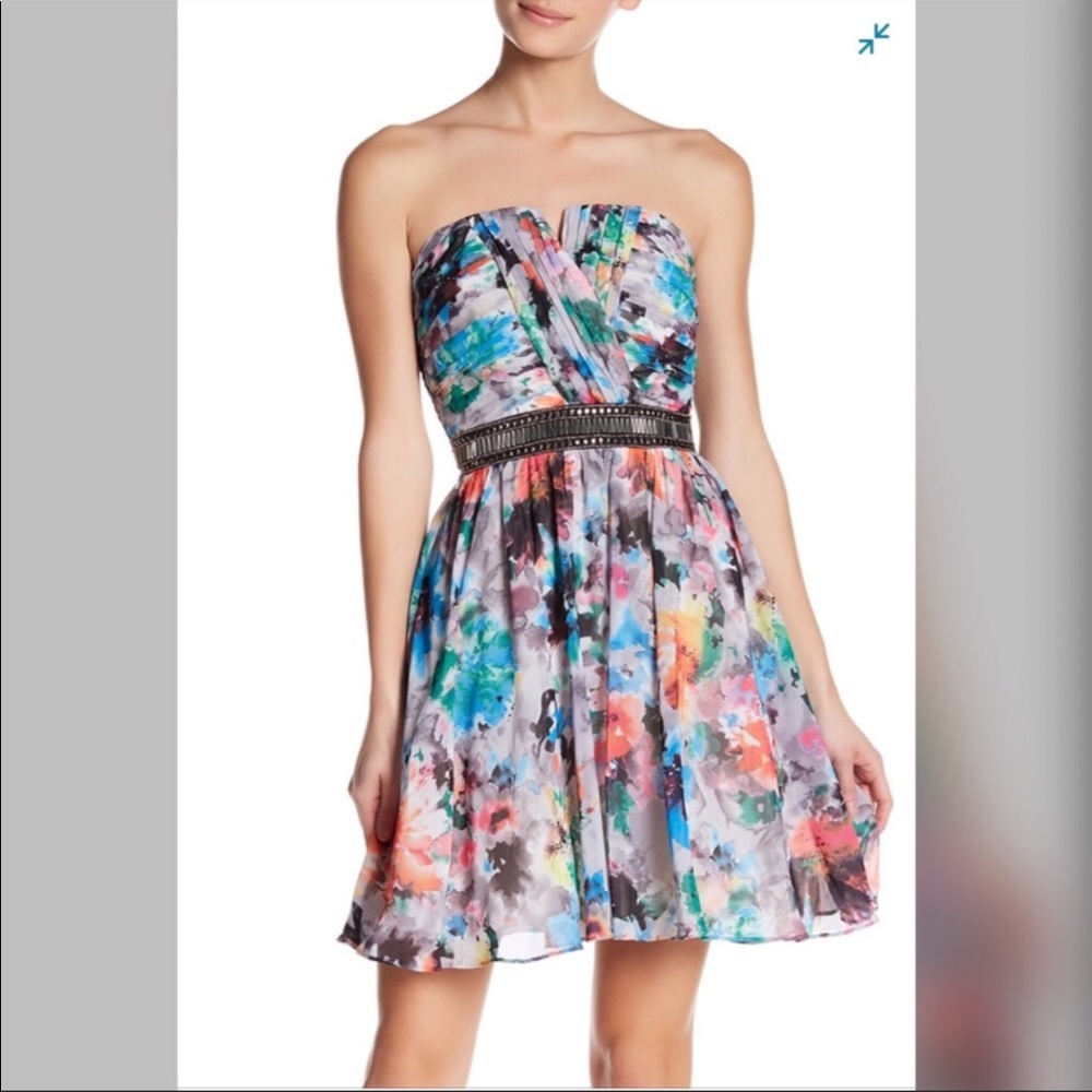 Little Mistress NWT Floral Dress Size 4